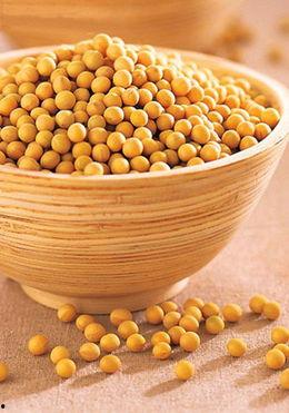 小黄豆爆料视频大全,揭秘娱乐圈幕后真相  第3张